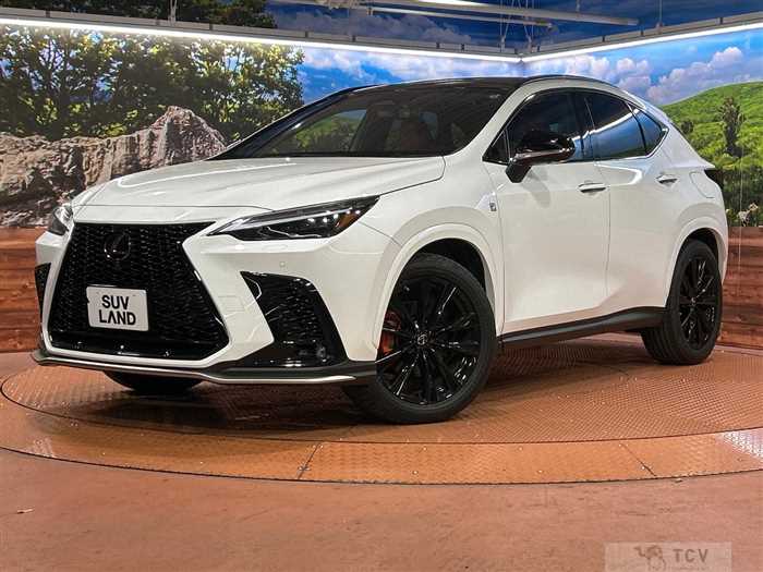 2023 Lexus NX