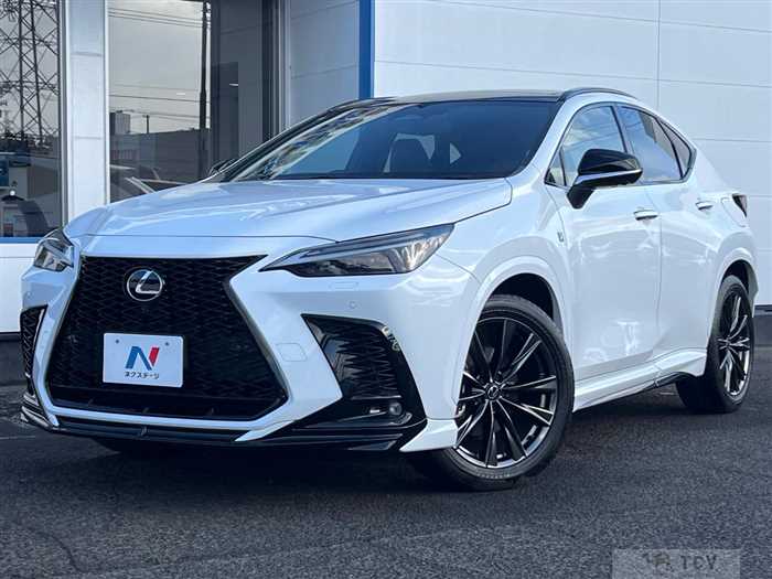 2024 Lexus NX