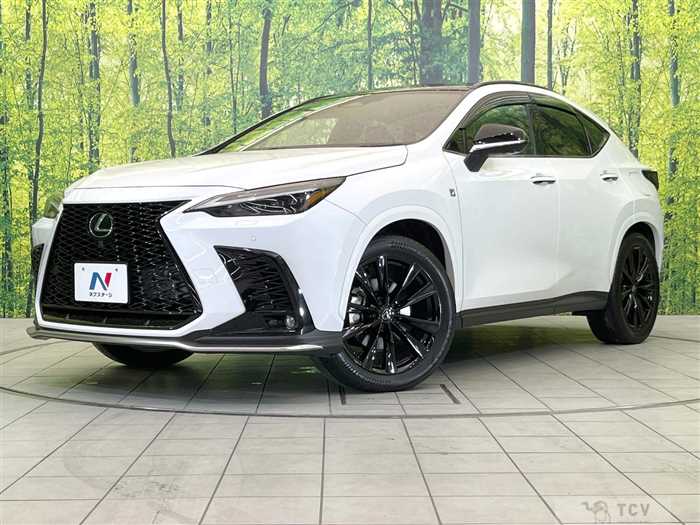 2023 Lexus NX