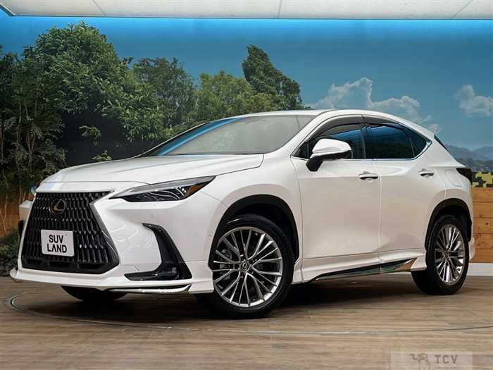 2022 Lexus NX
