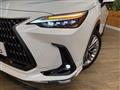 2022 Lexus NX