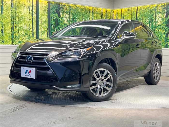 2015 Lexus NX