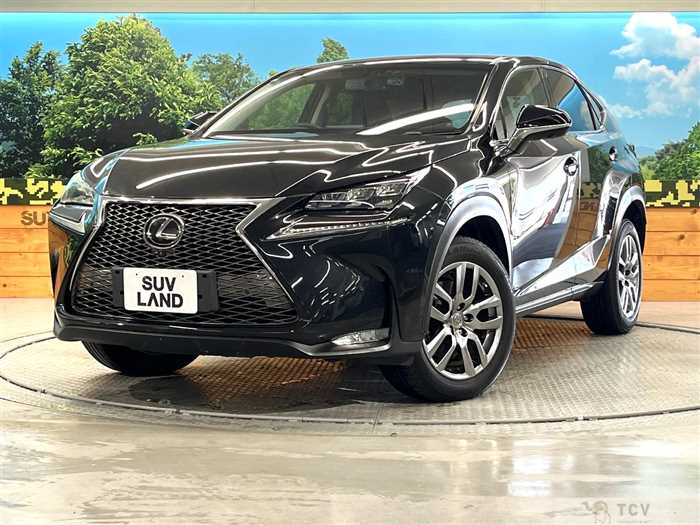 2015 Lexus NX