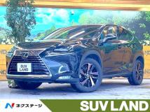 2018 Lexus NX