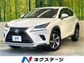 2018 Lexus NX
