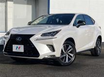 2018 Lexus NX