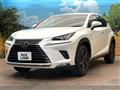 2019 Lexus NX