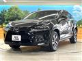 2018 Lexus NX