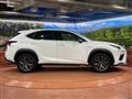 2019 Lexus NX
