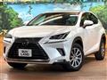 2019 Lexus NX