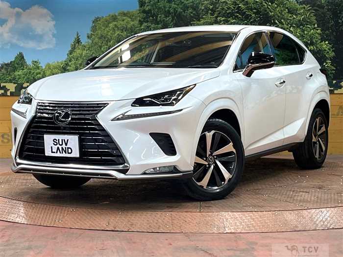 2020 Lexus NX