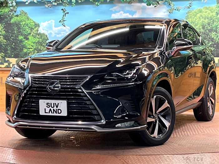2021 Lexus NX