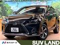 2021 Lexus NX