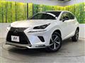 2021 Lexus NX