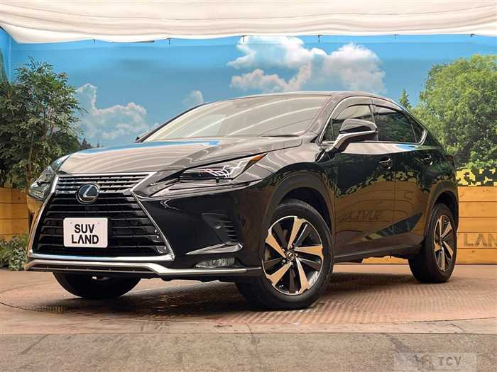 2019 Lexus NX