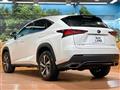 2019 Lexus NX