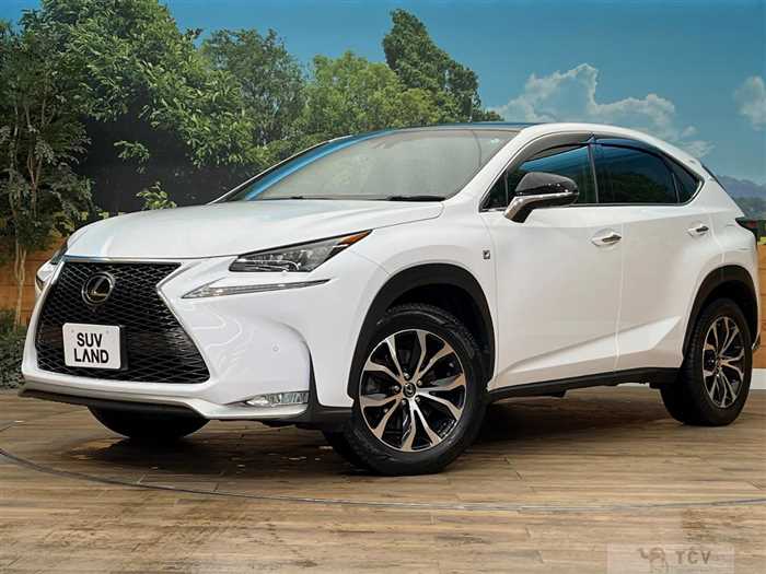 2016 Lexus NX