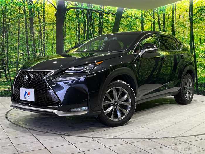 2016 Lexus NX
