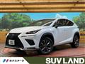 2019 Lexus NX