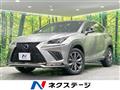 2019 Lexus NX