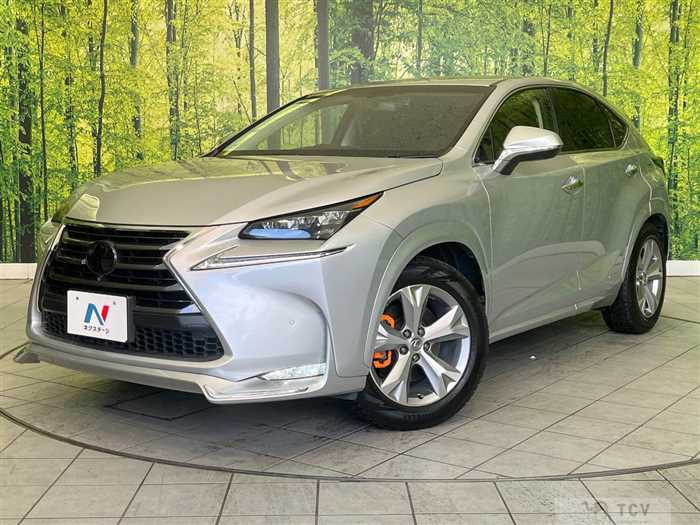 2014 Lexus NX