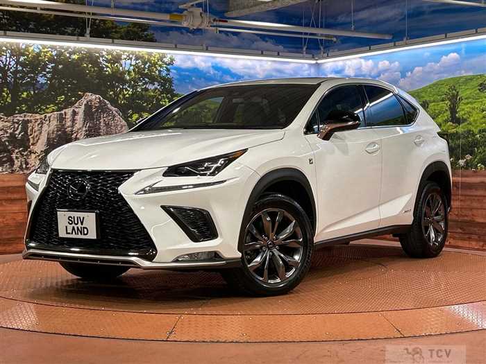 2018 Lexus NX