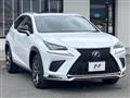 2018 Lexus NX
