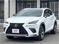 2018 Lexus NX