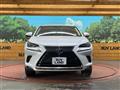 2019 Lexus NX