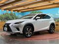 2019 Lexus NX