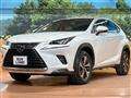 2019 Lexus NX