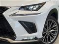 2019 Lexus NX