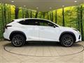 2019 Lexus NX