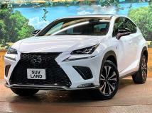 2020 Lexus NX