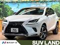 2020 Lexus NX