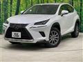 2020 Lexus NX