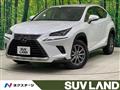 2020 Lexus NX