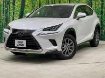 2020 Lexus NX