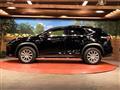 2015 Lexus NX