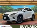 2018 Lexus NX