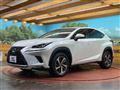 2018 Lexus NX