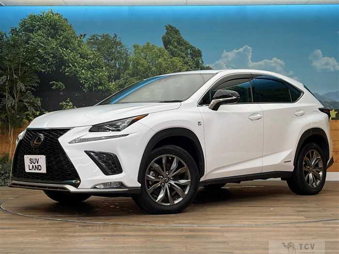 2019 Lexus NX