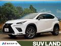 2019 Lexus NX