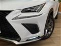 2019 Lexus NX