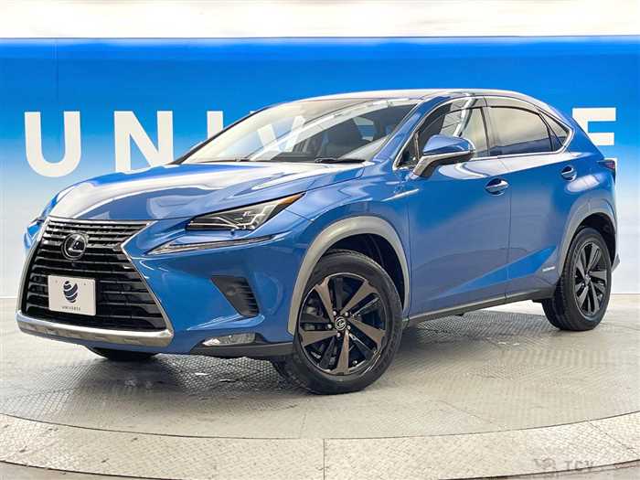 2020 Lexus NX
