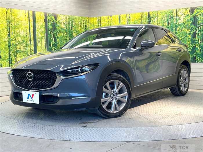 2019 Mazda Mazda Others