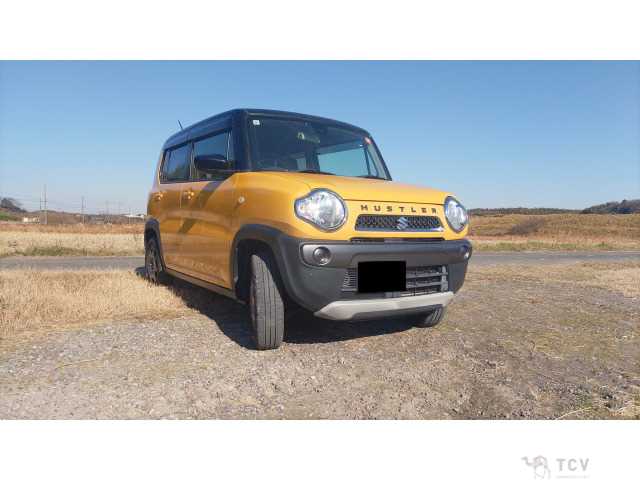 2017 Other All Other All