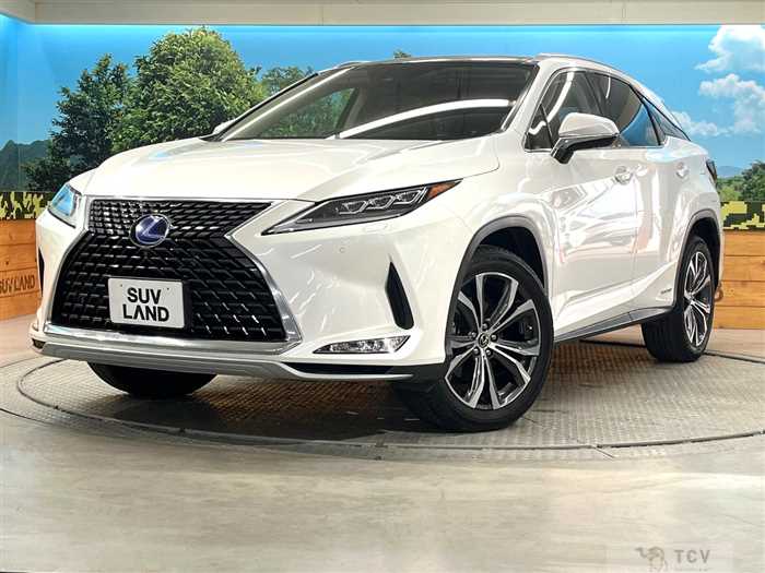 2020 Lexus RX