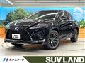 2021 Lexus RX