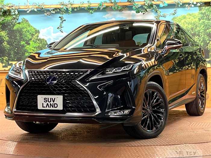 2022 Lexus RX